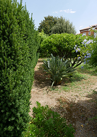 Le jardin au naturel