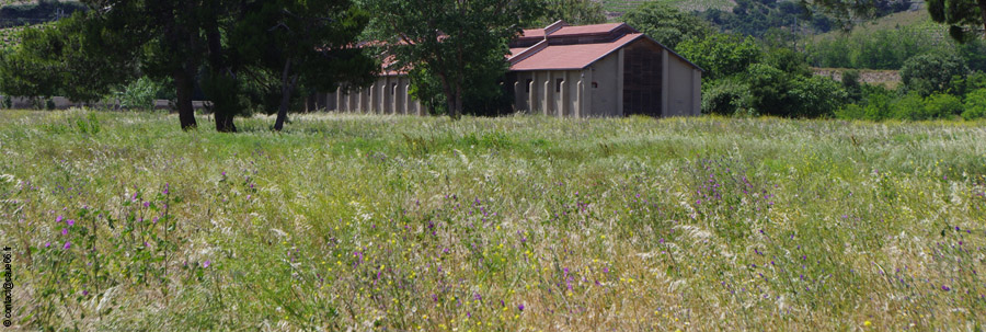 PORT VENDRE PAULLILLES PRAIRIE jpg