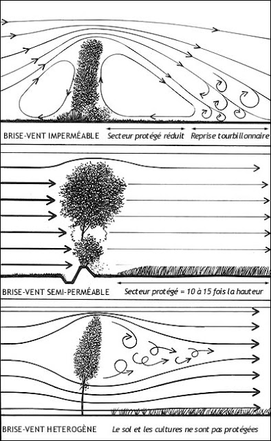 Article 1 Schema brise vent