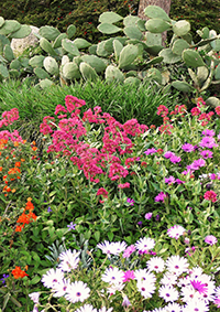 Le jardin au naturel ARTICLE 1