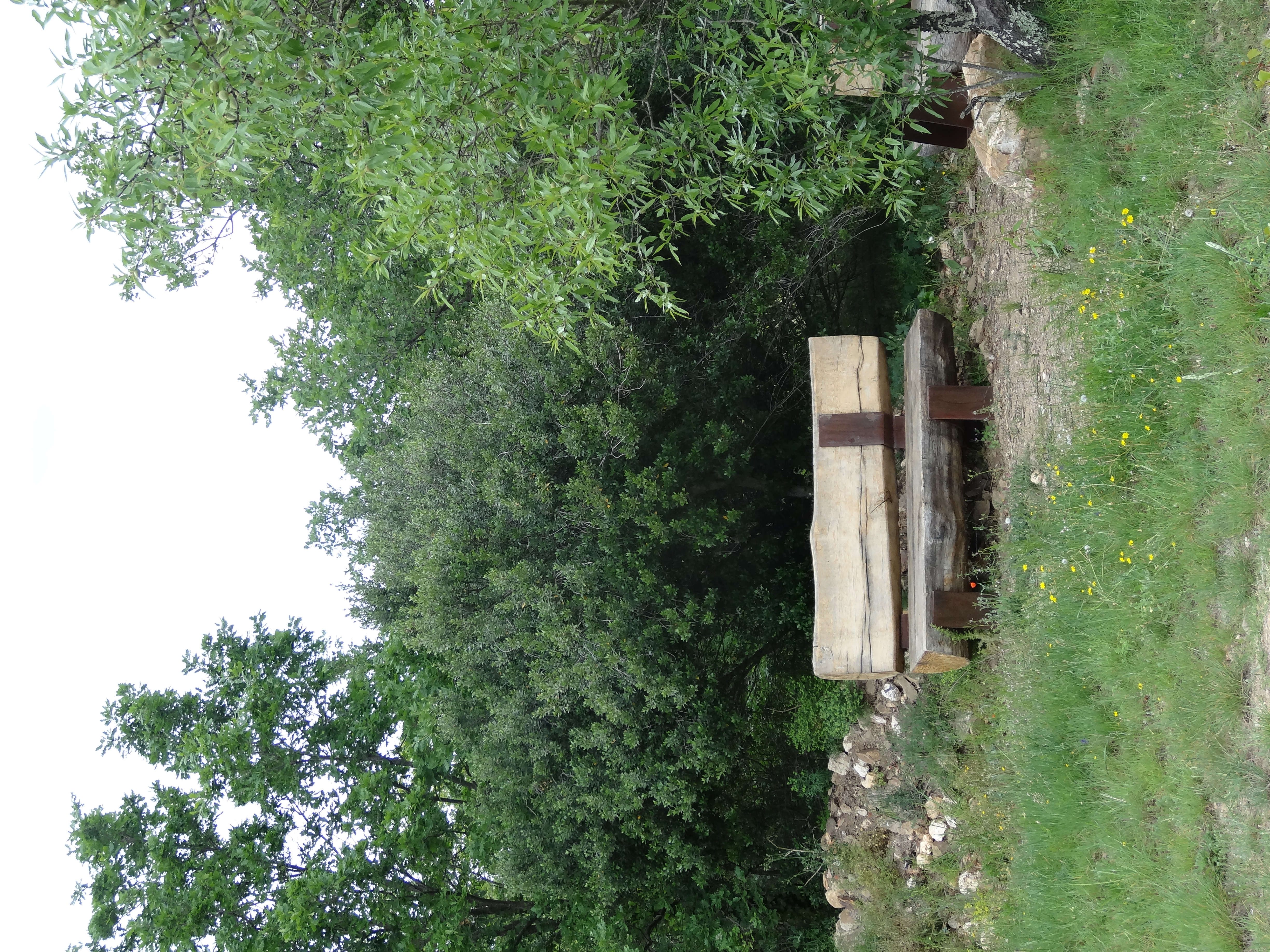 Le jardin au naturel ARTICLE 2