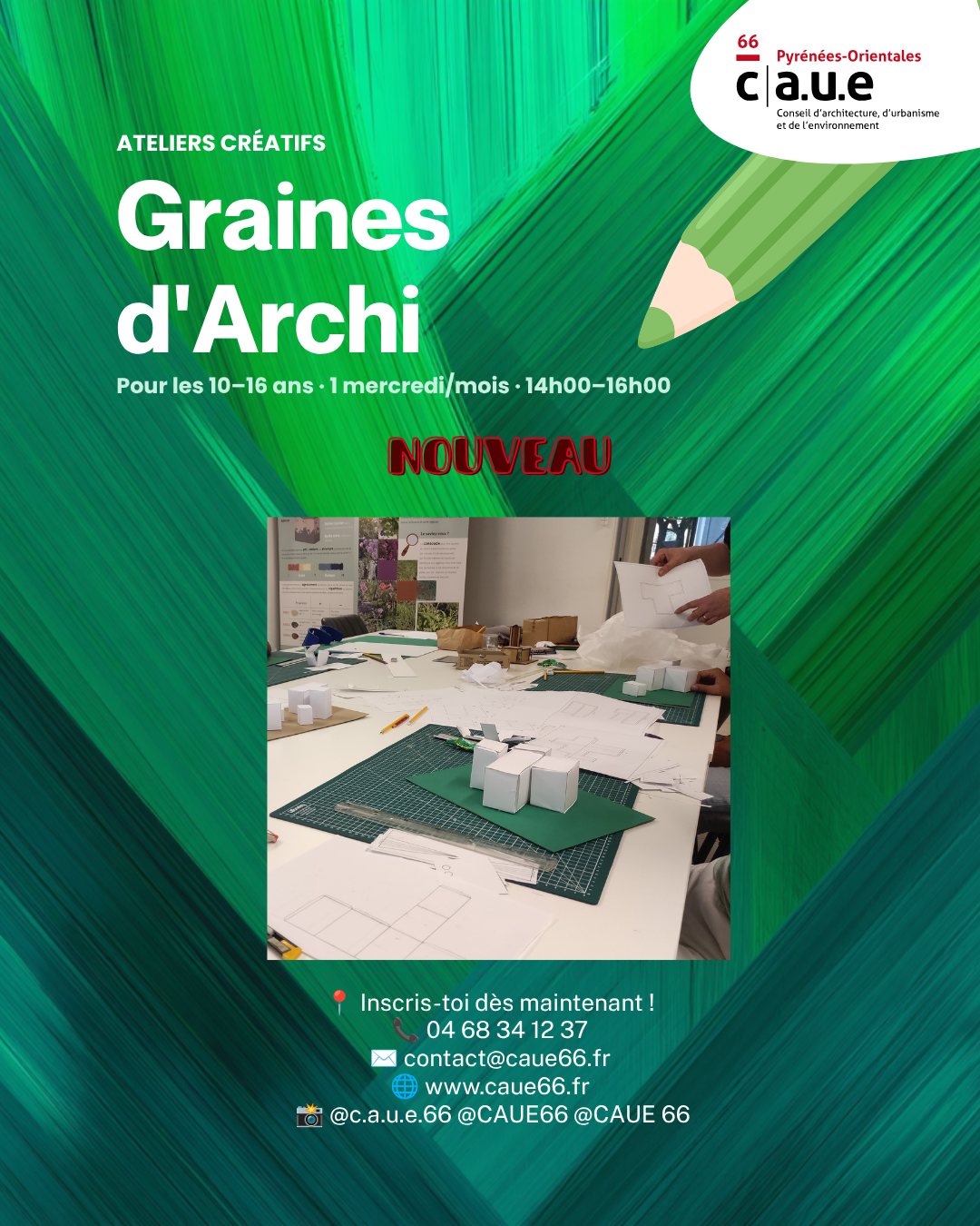 Graines darchis affiche
