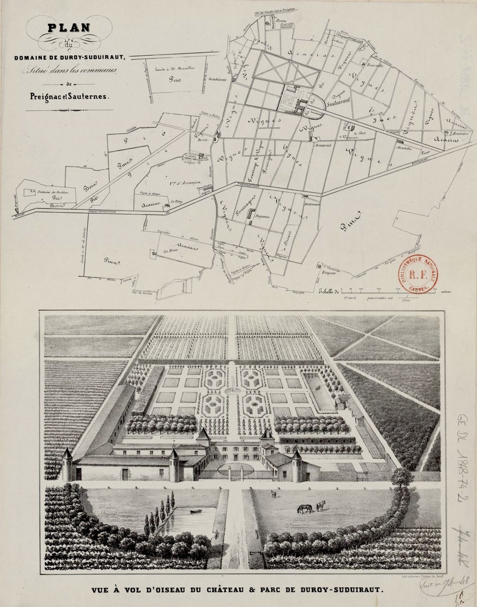 PLAN DU DOMAINE DE DUROY SUDUIRAUT cadr