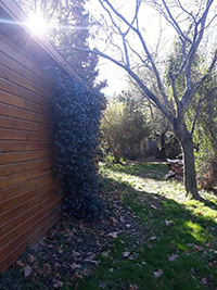 Le jardin au naturel ARTICLE 4