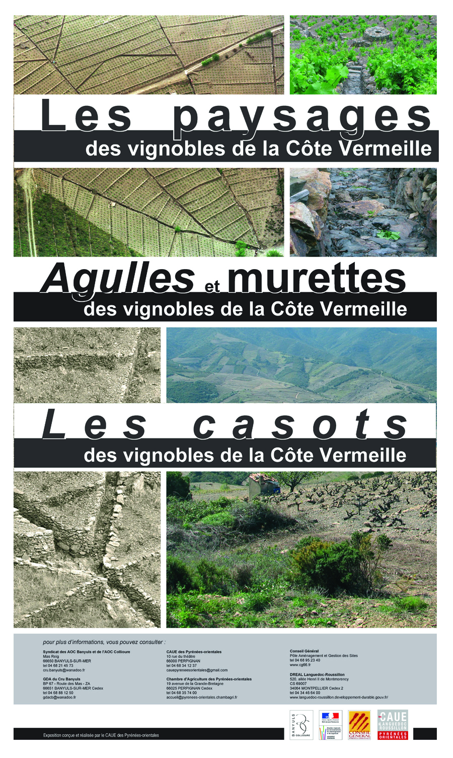 Expo Vignoble Cte Vermeille cru banyuls