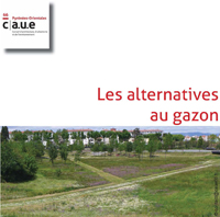 Guide pour la mise en oeuvre d'alternatives au gazon dans les jardins et espaces verts